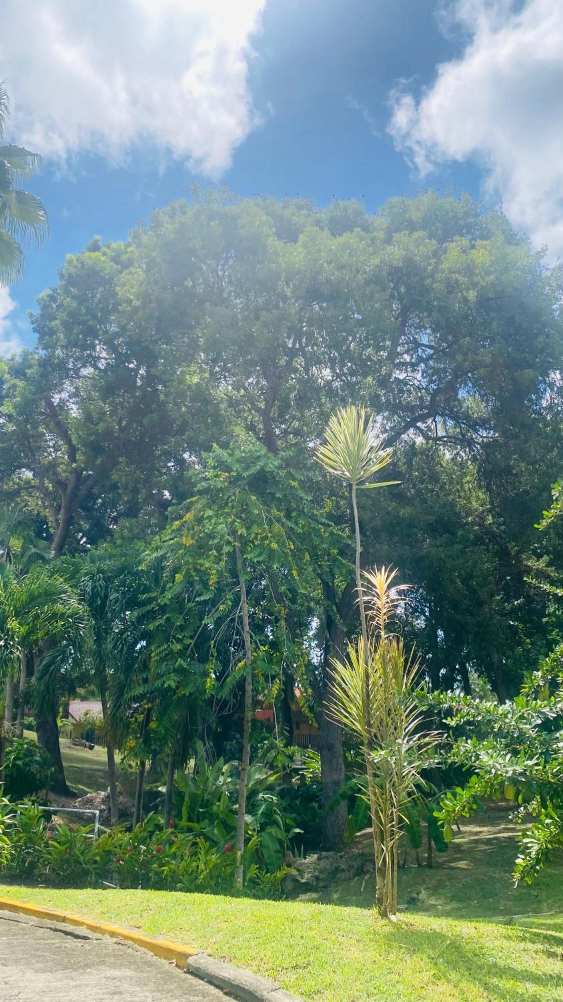Secret Garden Sainte-Anne Exterior foto