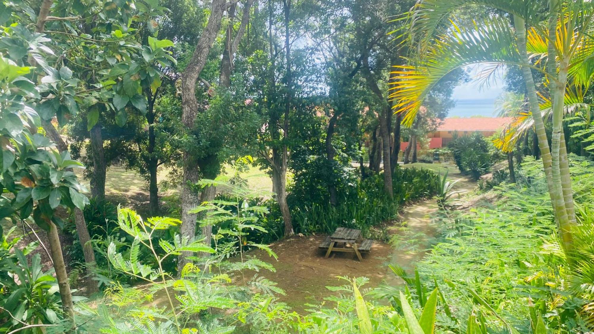Secret Garden Sainte-Anne Exterior foto